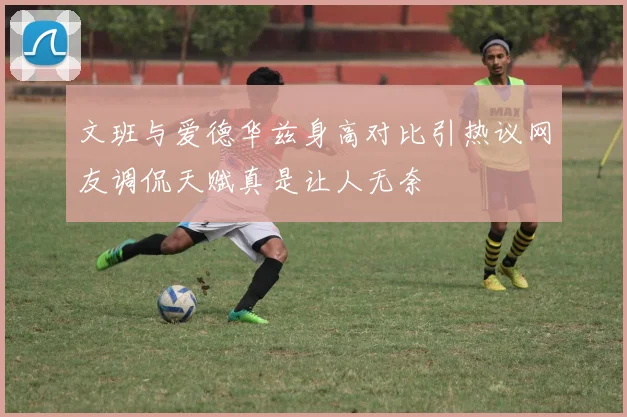 文班与爱德华兹身高对比引热议网友调侃天赋真是让人无奈