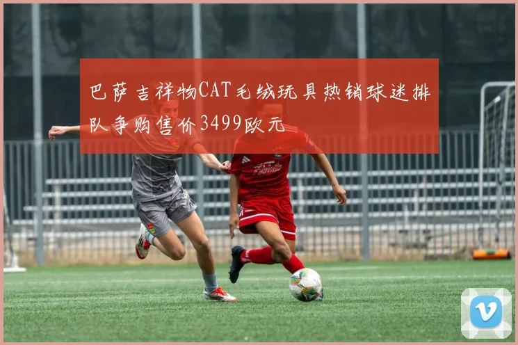 巴萨吉祥物CAT毛绒玩具热销球迷排队争购售价3499欧元