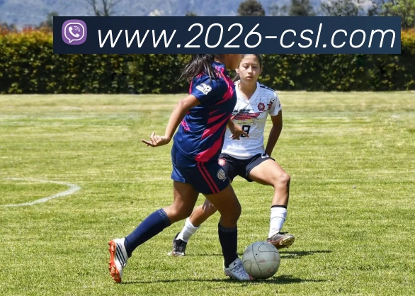 中超买球官网平台生态图