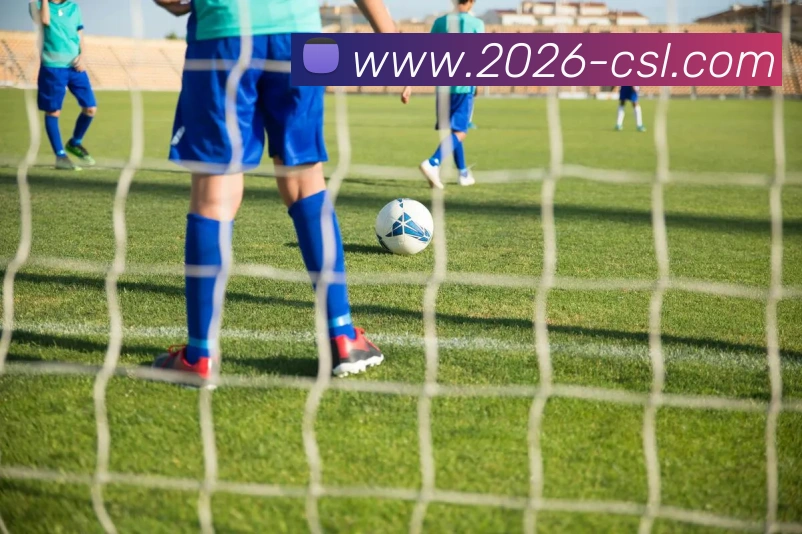 中超买球官网APP 封面图